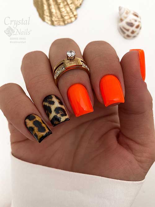 Short square shaped neon orange nails with two accent leopard print nails