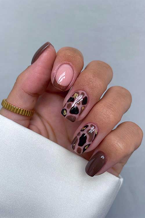 Chocolate and Mocha fall Nails with cow print nail art on two accent nails adorned with gold foil.