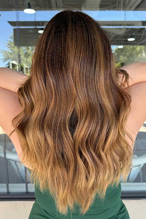 Brown Hair with Blonde Highlights