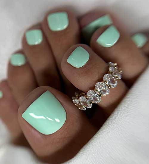 A simple mint green pedicure showcasing a fresh and elegant look for well-groomed feet.