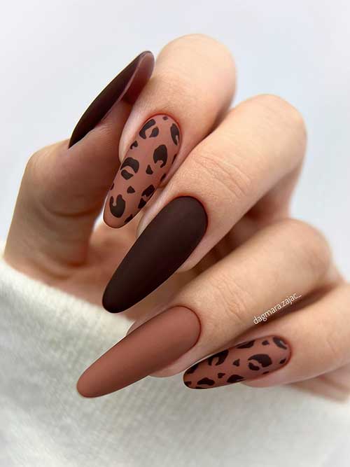 Long almond-shaped matte brown nails adorned with dark brown leopard prints and two accent dark brown nails